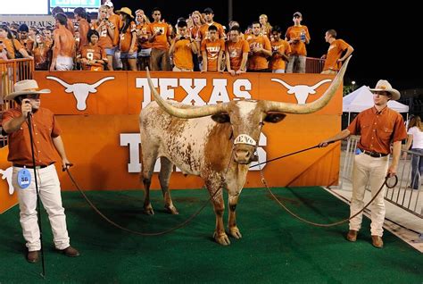 The 25 Best Mascots In College Football Texas Longhorns Football Longhorns Football Texas