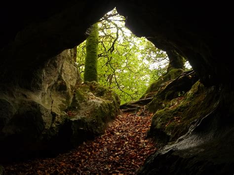 Cave Entrance In Yew Wood