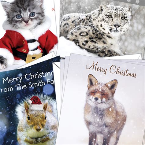 Christmas Cards Animals Pack Of 10 Dandl Designs Ltd