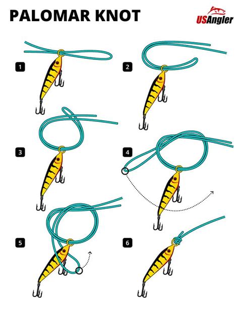 How To Tie The Palomar Knot A Complete Guide Usangler