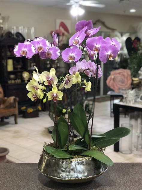 Exquisite Orchid Planter In Cooper City Fl De La Flor Florist And Gardens