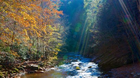 Great Smoky Mountains National Park Vacations 2017