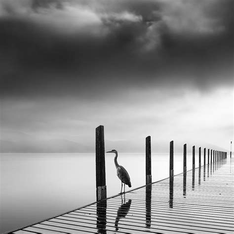 George Digalakis Silent Waters Monovisions Black And White