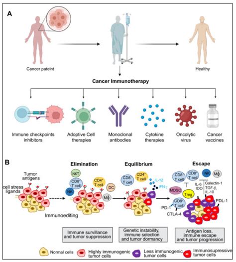 Diseases Free Full Text Emerging Trends In Immunotherapy For Cancer