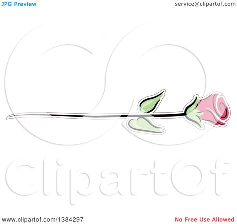 Clipart Of A Pink Long Stemmed Rose Royalty Free Vector Illustration