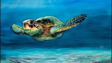 Watercolor Sea Turtle Painting Demonstration Рисуем в 2019 г