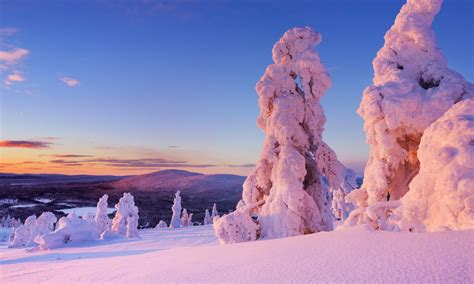 6 Reasons To Explore The Winter Landscapes Of Levi Finland Wanderlust