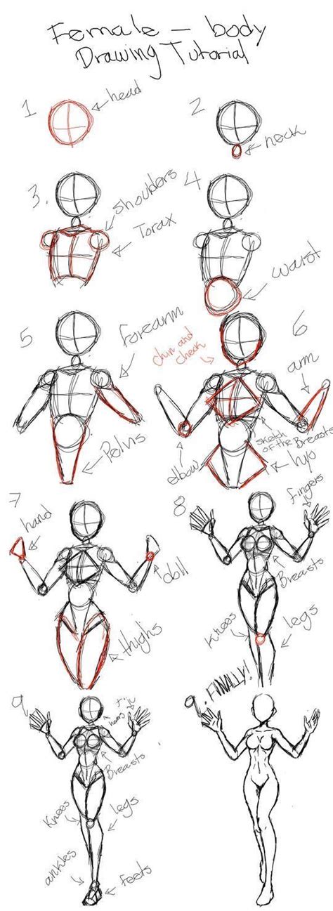 Pin By Roxy Lucero On Drawing Help Body Drawing Tutorial Anime