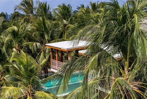 10 Unique Maldives Experiences You Never Knew Existed Dive Reviews