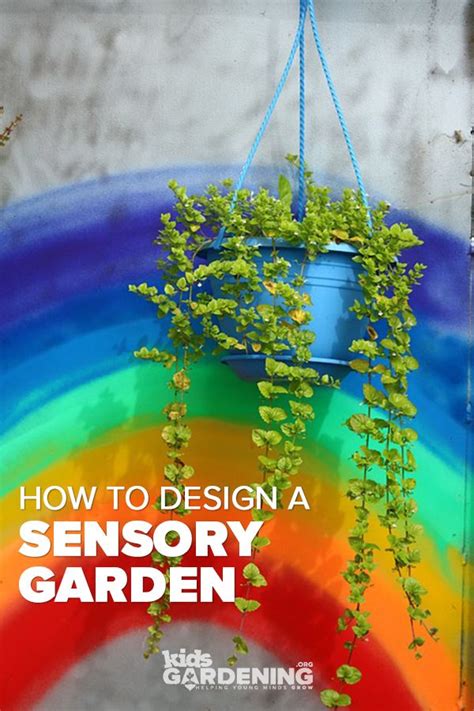 Designing A Sensory Garden Sensory Garden Gardening For Kids Garden