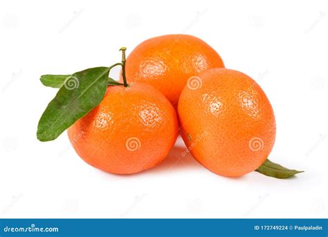 Tangerine Or Clementine Isolated On White Backgrounds Mandarin Orange