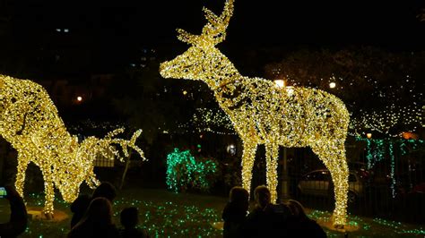 • 177 просмотров трансляция закончилась 1 год назад. Luci d' Artista - Salerno 2017-2018 - YouTube