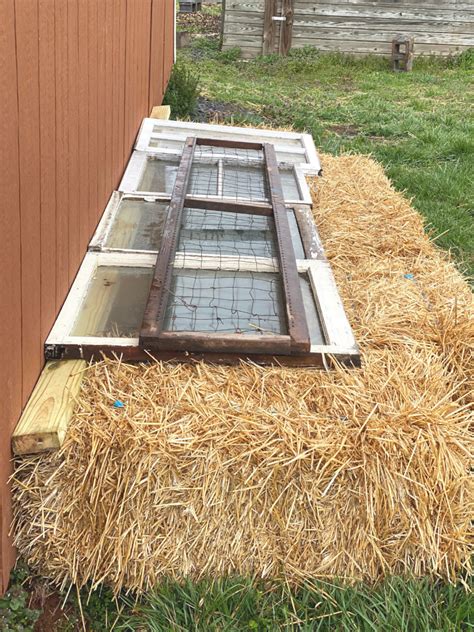 How To Make A Straw Bale Cold Frame Roots And Boots
