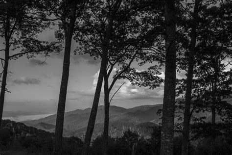 Smoky Mountain In Black And White Photograph By John Mcgraw