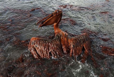 Bp Oil Spill Underwater