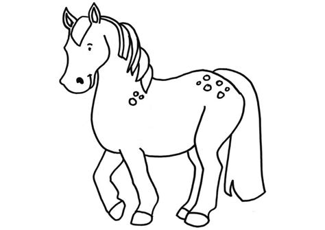 Dibujo Para Colorear Caballo Dibujos Para Imprimir Gratis Img 18664