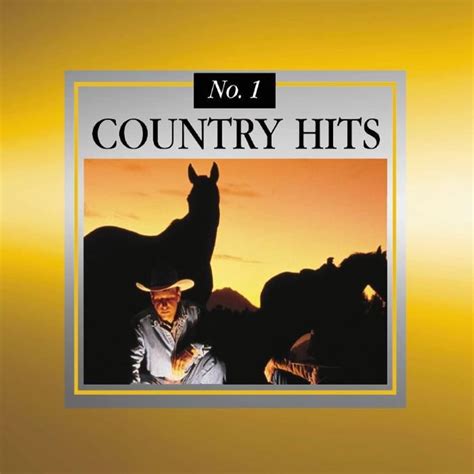 no 1 country hits cd 2007 madacy records