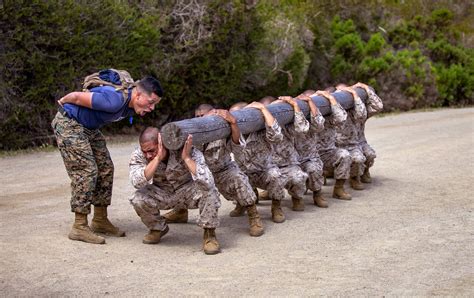 A Us Marine Corps Drill Instructor With India Company 3rd Recruit Training Battalion