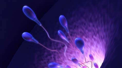 Free Download Sperm Abstraction Abstract Bokeh Life Sex Sexual Medical X For Your