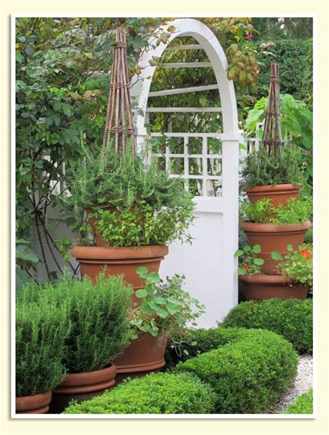 Simple Details Foliage Container Gardens