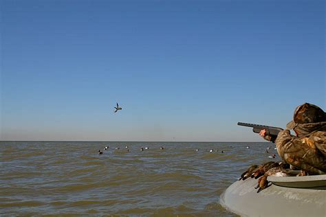 Professionally Guided Mississippi Duck Hunting Gunning F Flickr