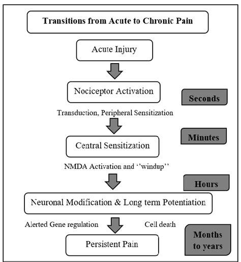 Painphysiology Wiki