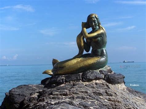 “เงือกทอง Golden Mermaid” นั่งหวีผมมากว่าครึ่งศตวรรษมนต์เสน่ห์ของ
