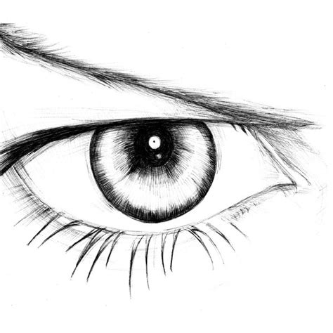 Eye Drawing Template At Explore Collection Of Eye