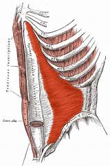 Images of Role Of Core Muscles