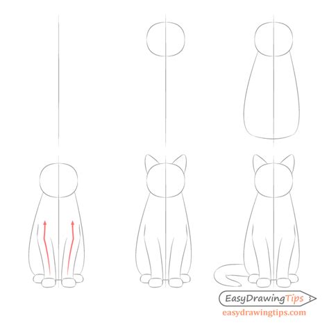 How To Draw A Cat Sitting Down Step By Step Cat Lovster