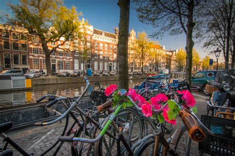 weekend in amsterdam summer 2018 authentic guide romanroams