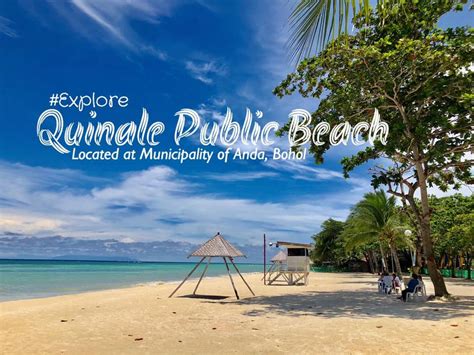Quinale Beach Resort A Rising Tropical Hotspot In Anda Bohol Visminph