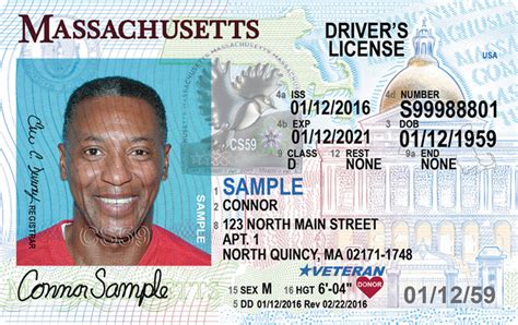 Free Drivers License Check Link