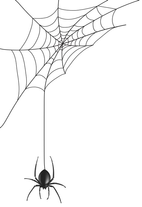 Free Halloween Spider Web Clipart 6 Spider Art Spider Web Drawing