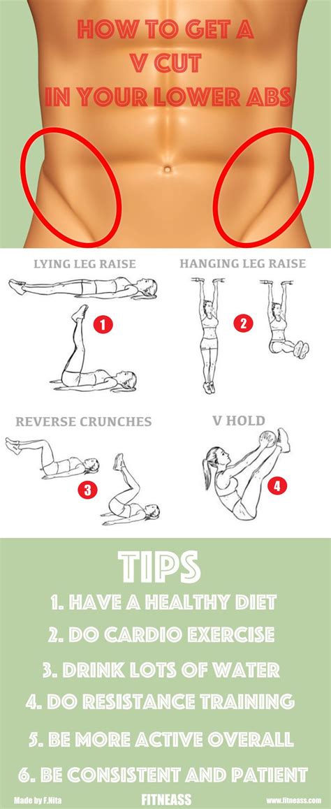 How To Get A V Cut In Your Lower Abdominal Muscles Fitneass