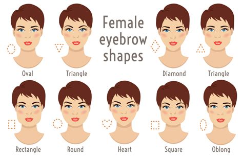 Eyebrow Shapes For Round Face Woman And Girls
