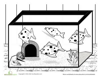 When it's time to pick decorations for a fish tank, what you decide to add should meet two main criteria the other is that you should make the appearance of the aquarium fit with your style and your home or office, so that it is the focal point that you want it to be. Fish Tank Coloring Page | Coloring pages, Ocean themes ...