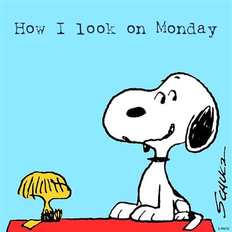 Mondays Snoopy Quotes Snoopy Funny Charlie Brown And Snoopy