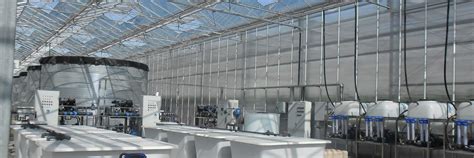 Greenhouse Irrigation And Fertigation Offer Boosts To Efficiency And Profitability Growspan