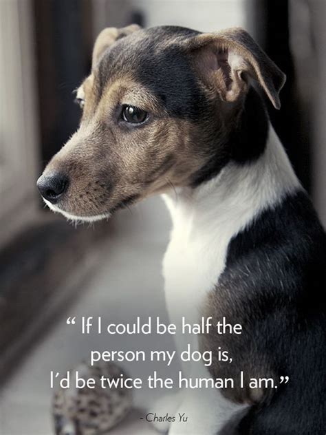 18 Heart Warming Dog Quotes About Life And Love Fallinpets