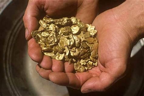 Check spelling or type a new query. The surprising source of most mercury pollution: Gold ...