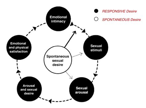 Female Sexual Responsiveness A Circular Model The Relationship Blog