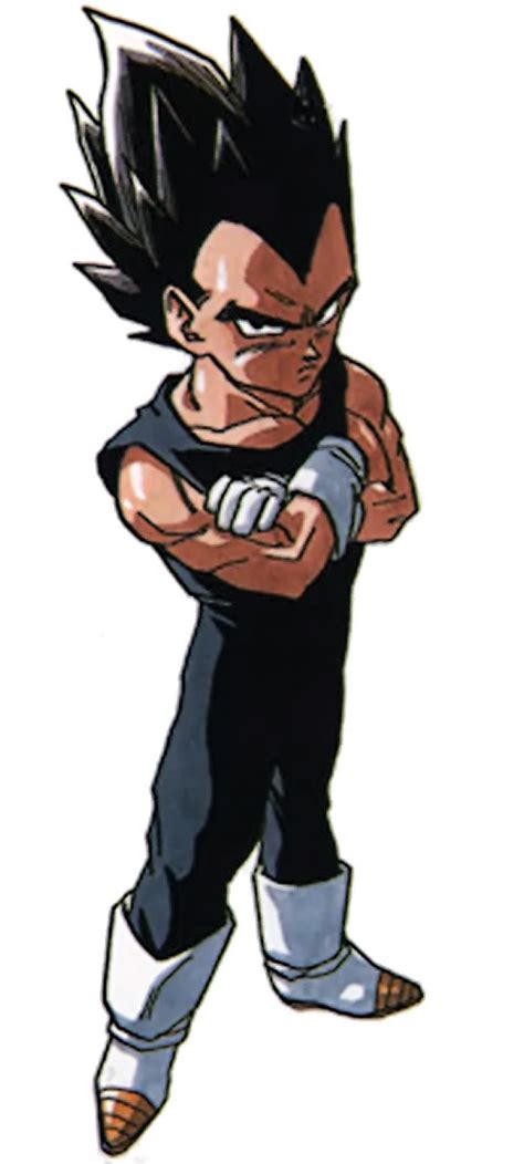 Vegeta Dragon Ball Character Super Saiyan Character