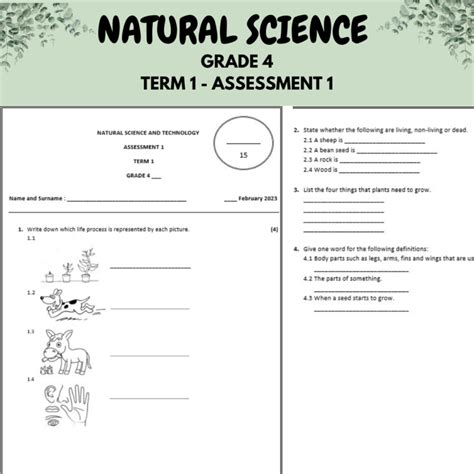 Natural Science And Technology Grade 4 Term 1 Assessmenttest 2023