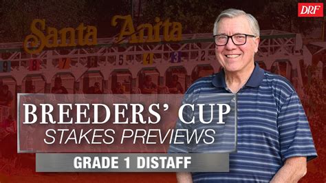 Grade 1 Breeders Cup Distaff Preview November 4 2023 Youtube