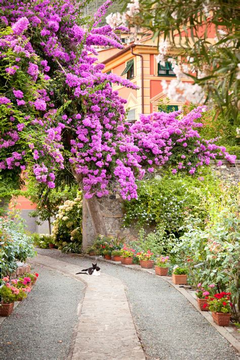 Dreamstime is the world`s largest stock photography community. Flowers in garden in Italy stock image. Image of exotic ...