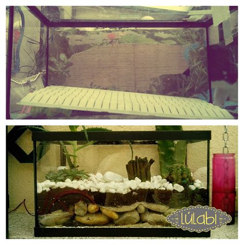Primero, ¿que necesitas para hacer un terrario con suculentas y cactus? LULABI-Handmade Flowers-: De pecera....¡ a terrario!