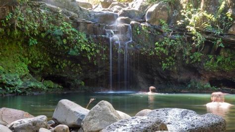 Waterfall And Rainforest Hike Hotel Guests Only Maui