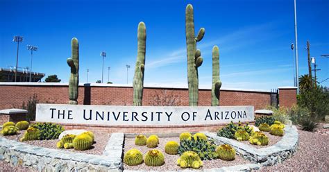Top 10 Scholarships At The University Of Arizona Oneclass Blog