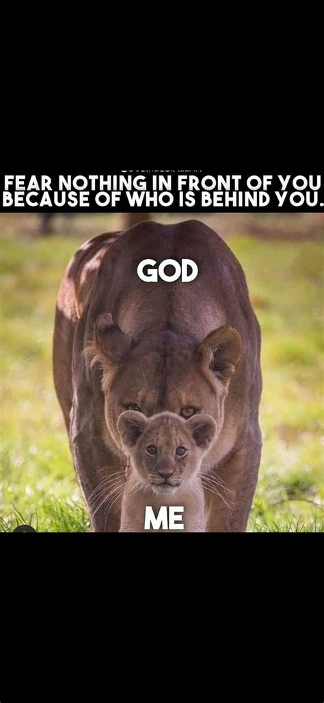 God And Me Lion Hd Phone Wallpaper Peakpx